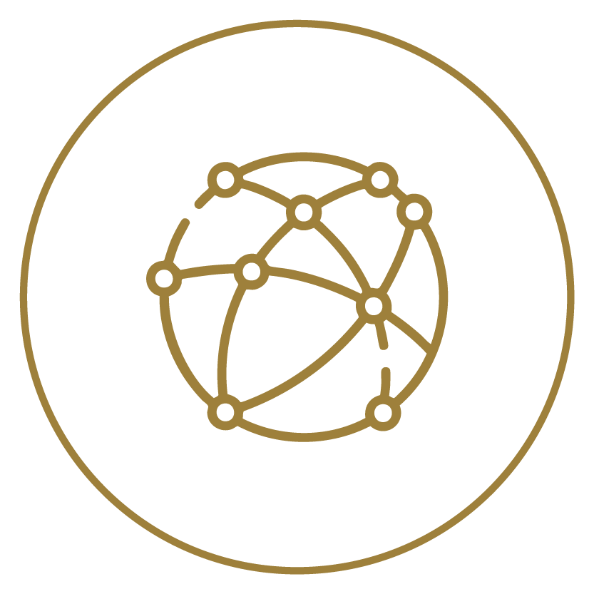 Netzwerk